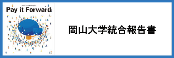 統合報告書